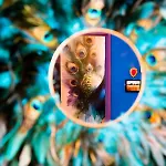 Luna - Cosy 50m2 - Place Parking Prive -ascenseur - Position Gare - Pompidou - Nouvelle - 2 A 4 Personnes 메스